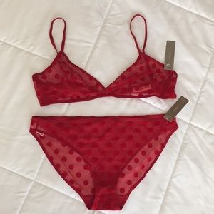 J. Crew Red Sheer Polka Dot Underwear